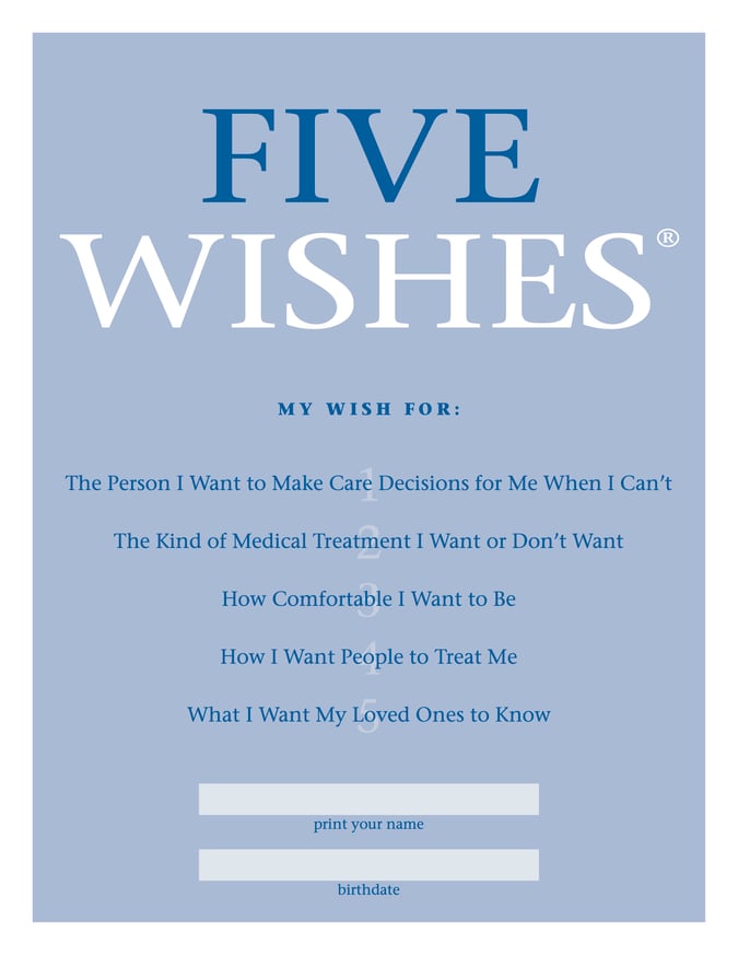 Five Wishes My Pink Lawyer